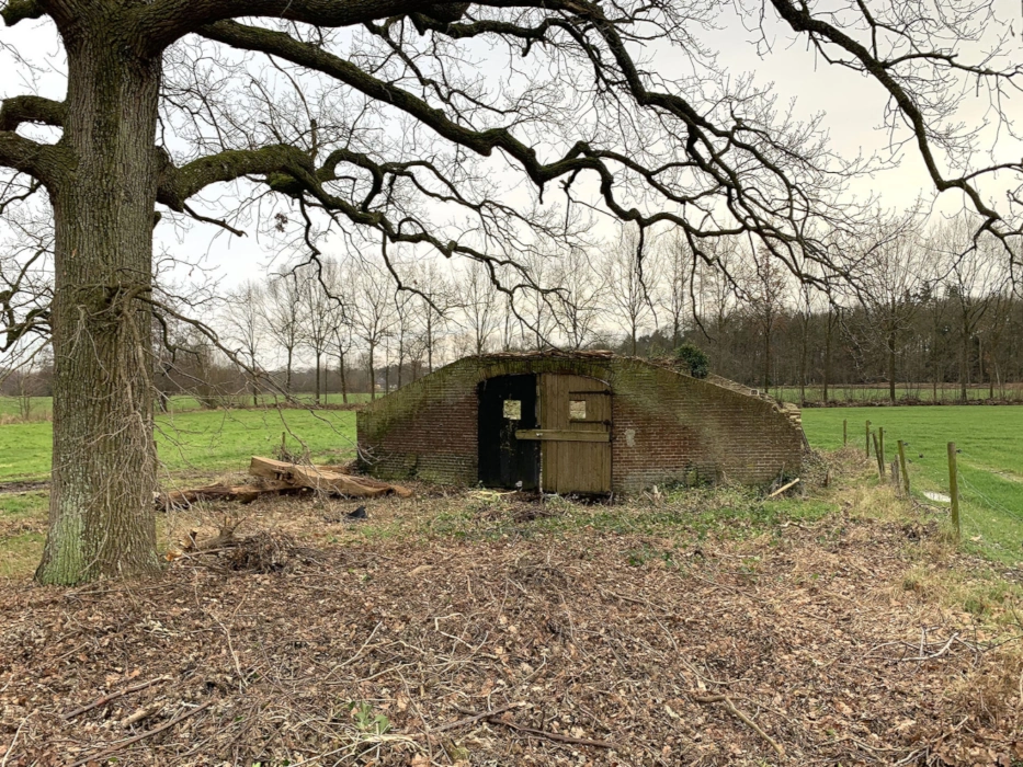 1 JNT Projektai, Senos sodybos projektavimas