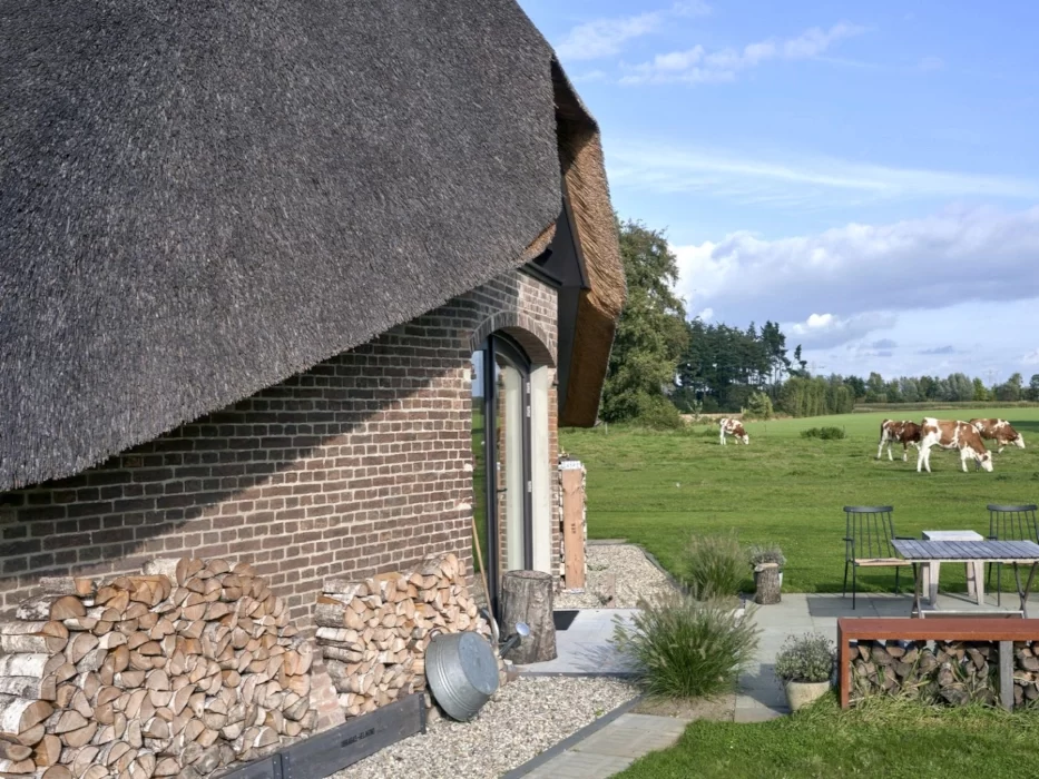 4 JNT Projektai, Senos sodybos projektavimas